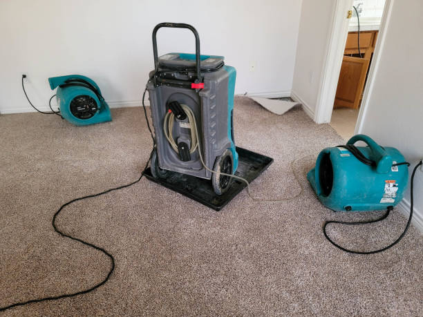 Best Emergency water damage restoration  in Lutz, FL