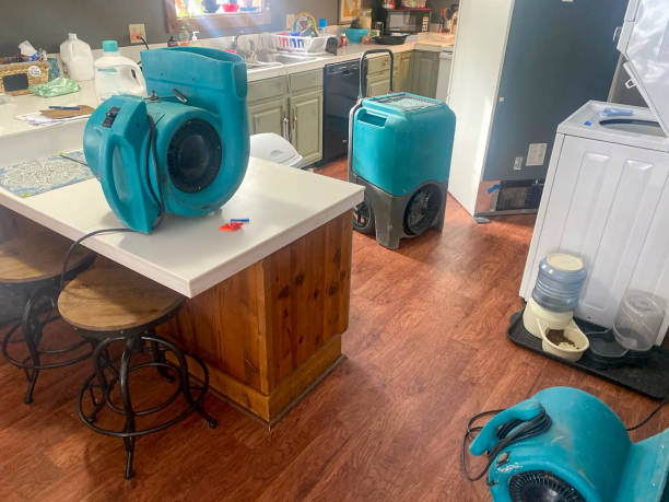 Best Carpet water damage restoration  in Lutz, FL