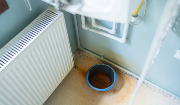 Reliable Lutz, FL Water damage restoration Solutions