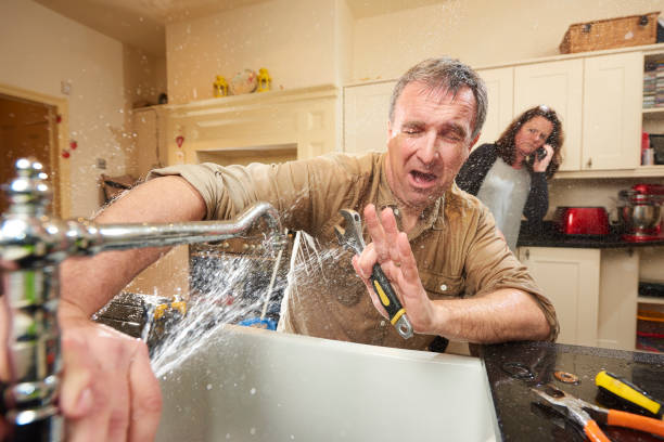Water damage restoration mold remediation in Lutz, FL